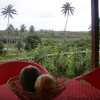 Отель La Perruche Rouge Guest House, фото 13