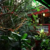 Отель Palm Grove Cottages - Leisure Resort, фото 7