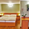Отель Lesanka Hotel & Wellness, фото 3