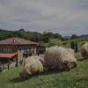 Отель Casa Rural Urikoa, фото 1