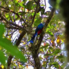 Отель Vista Valverde, фото 3