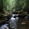 Отель Pousada Encanto Das Águas, фото 10