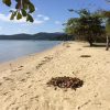 Отель Flat Paraty Studio, фото 5