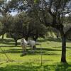 Отель Casa Rural Majalón, фото 6