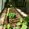 Отель La Casona De Odile, фото 2