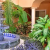 Отель Condo Palmilla Quinta del Sol, фото 5