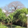 Отель Giraffe House, фото 4
