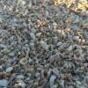 Отель Ameli Beach House, фото 9
