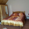 Отель Pensiunea Valea Badilii, фото 2