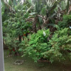 Отель Samitha Guest House, фото 10
