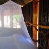 Отель Chaya Maya Jungle Lodge, фото 1