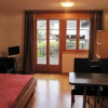 Отель Alpine Boutique Apartments, Fagus, фото 3
