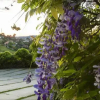 Отель Preços especiais para estadia semanal e ou mensal COBERTURA Condomínio Switzerland Village, фото 10