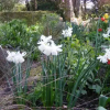 Отель Bleanaskill Lodge & Achill Secret Garden, фото 5