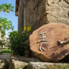 Отель Qingyi Coral Rock Guest House, фото 5