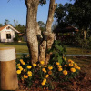 Отель Ban Fah Plai Rung度假酒店(Ban Fah Plai Rung Resort), фото 2