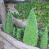 Отель Shushan B&B, фото 10
