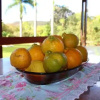 Отель A Sua Casa de Campo na Chapada, фото 6
