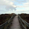 Отель Tawharanui Lodge, фото 3