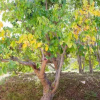 Отель Appartamento KoreMare, фото 10