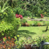 Отель Serenity 2-bed Apartment in Port Antonio, фото 17