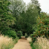 Отель Gatton Manor Hotel and Golf Club, фото 27