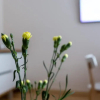 Отель Violetos Lux Apartamentai2, фото 12