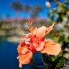 Отель Pointe Santo E21, фото 2