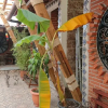 Отель Hostal El Refugio, фото 7