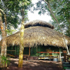 Отель Juma Amazon Lodge, фото 15
