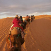 Отель Camel Trek Bivouac, фото 17