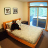 Отель Kookaburra Lodge #204 By Bear Country, фото 3