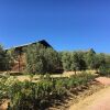 Отель Tenuta Poggio Rosso Glamping, фото 12