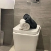 Отель Immaculate 1-bed Apartment in Sheffield, фото 13