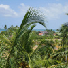 Отель Hideaway Lodge, фото 13