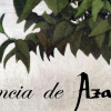Отель Vitium Córdoba, фото 19