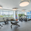 Отель Condado Ocean Club - Adults Only, фото 45