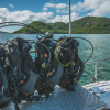 Отель Coral Sea Dreaming Dive and Sail, фото 13
