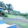 Отель Tsaben Beach Hotel в Лимбе