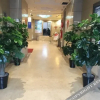Отель Tangfeng Art Hotel (Harbin Jiangpan), фото 9