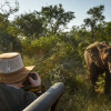 Отель Lion Sands Tinga & Narina Suites, фото 22