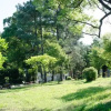 Отель Batumi Green Cape Guest House, фото 18