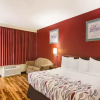 Отель Red Roof Inn Lexington - Winchester, фото 26