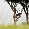 Отель Victoria Lake View Guest House & Safaris, фото 27