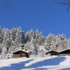 Отель Chalet 1005, фото 7