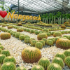 Отель Nongnooch Garden Resort, фото 3