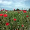 Отель Agriturismo Le Magnolie, фото 3