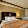 Отель Comfort Inn & Suites, фото 7