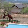 Отель Ndhula Luxury Tented Lodge, фото 12