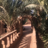 Отель Auberge la Palmeraie, фото 36